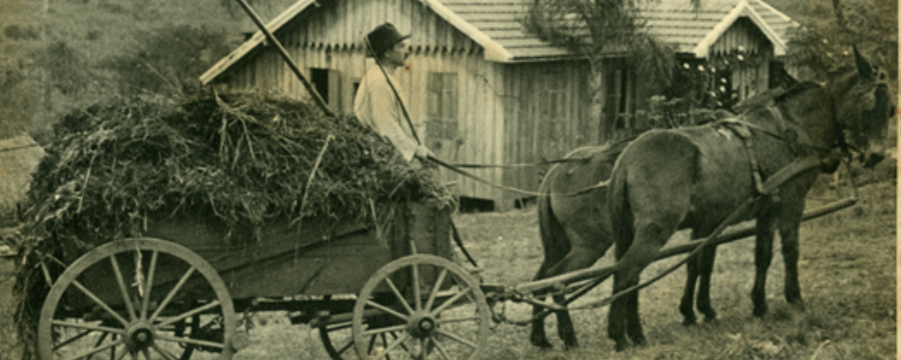 Acervo iconográfico do MI, imagem de Núcleo Colonial