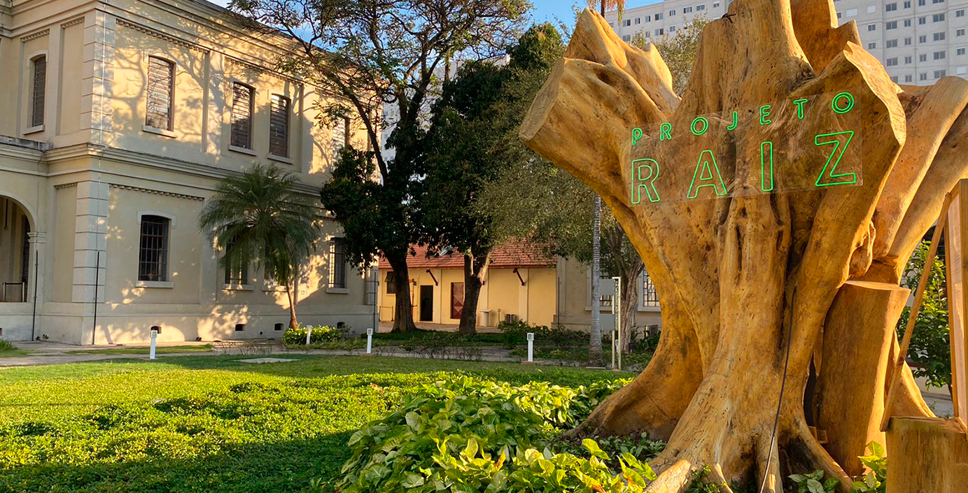 textos autorais para o projeto RAIZ