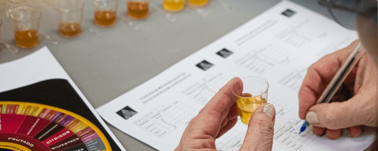 Curso | Sommeliers de Méis do Brasil