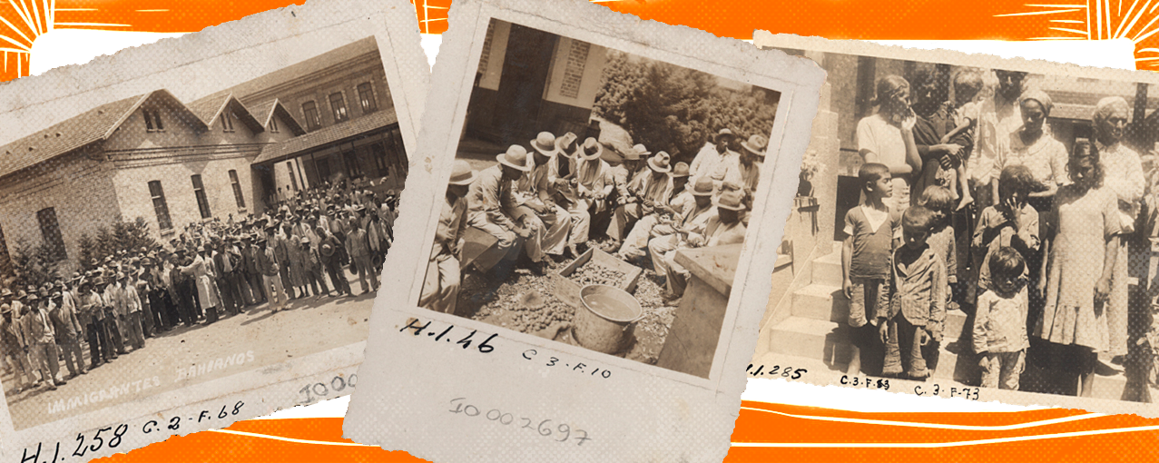 arte dia do nordestino