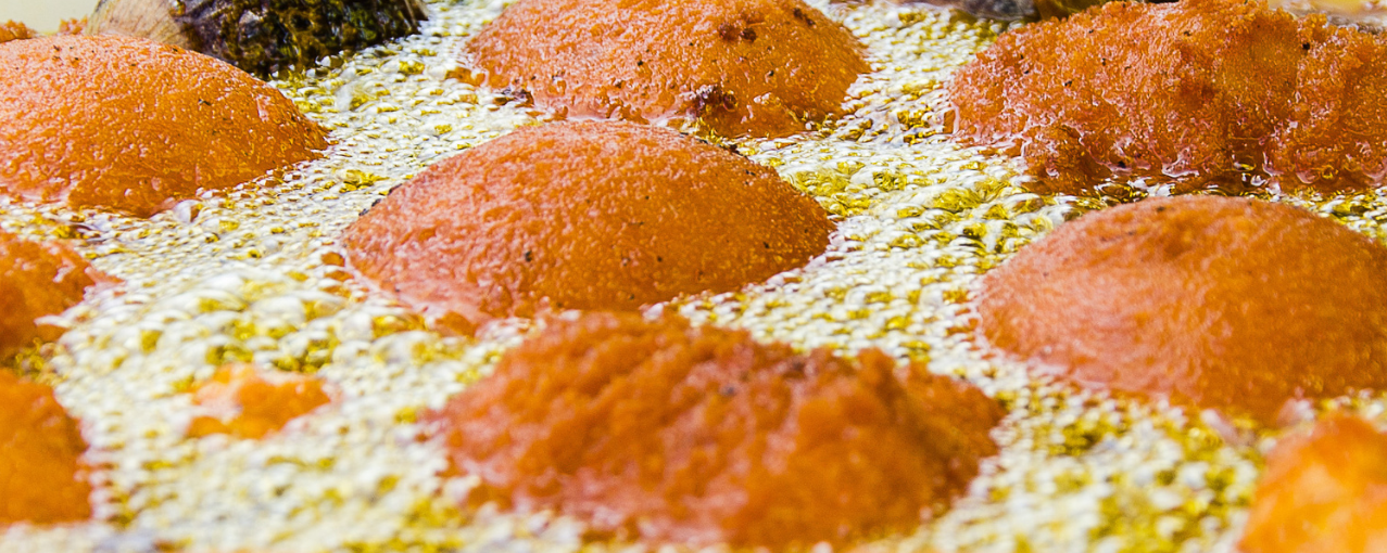 Dia de Consciência Negra