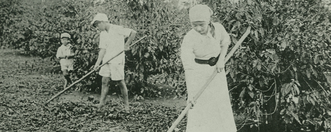 Foto de acervo - crianças na lavoura