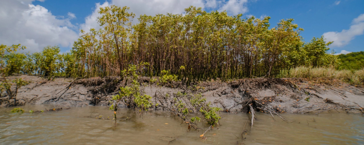 Mobilidade Humana e Justiça Climática